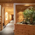 Ambre-6 By Interhome Villars-sur-Ollon