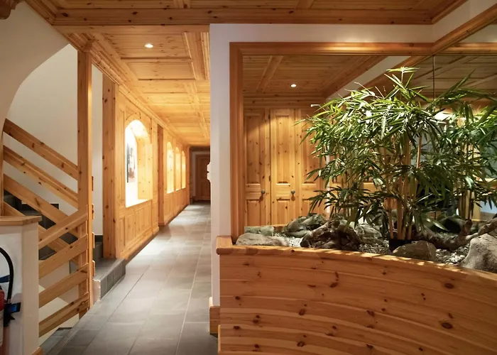 Ambre-6 By Interhome Villars-sur-Ollon