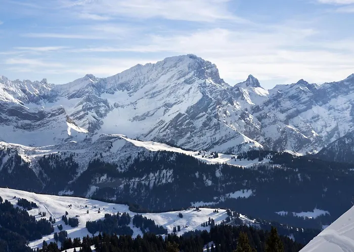 Ambre-6 By Interhome Apartmán Villars-sur-Ollon