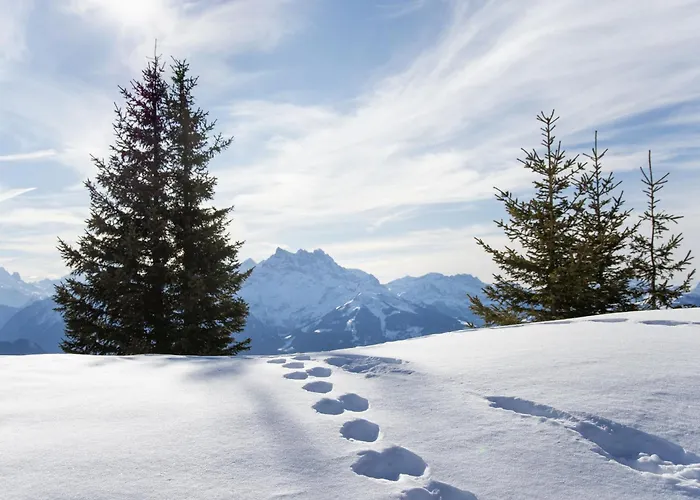 Ambre-6 By Interhome * فيلرز سور اولون